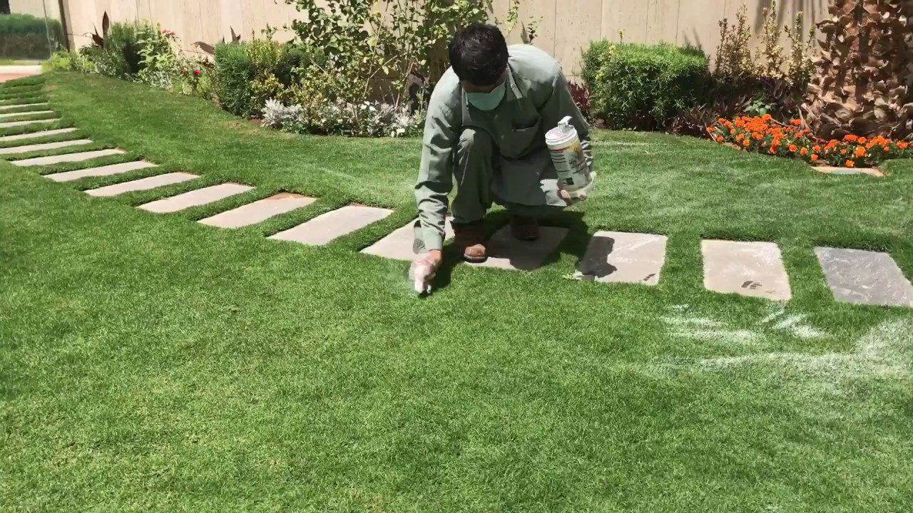 افكار تنسيق حدائق افكار تنسيق حدائق